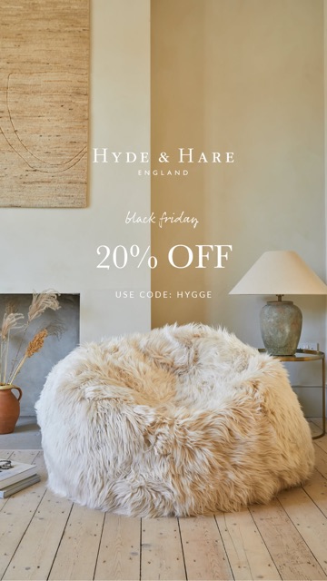 Ad 199: product photo of the beanbag in a room, Black Friday text at the top